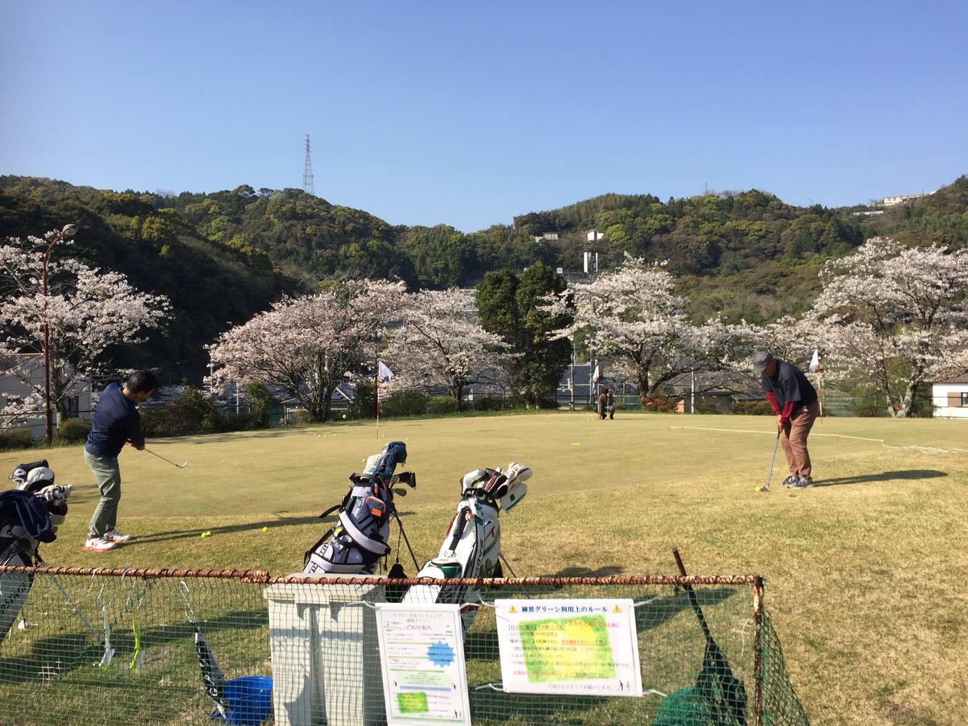 桜に囲まれたイーグル荒倉の練習グリーン